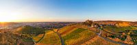 Luchtfoto wijngaarden en grafkapel in Stuttgart van Werner Dieterich thumbnail