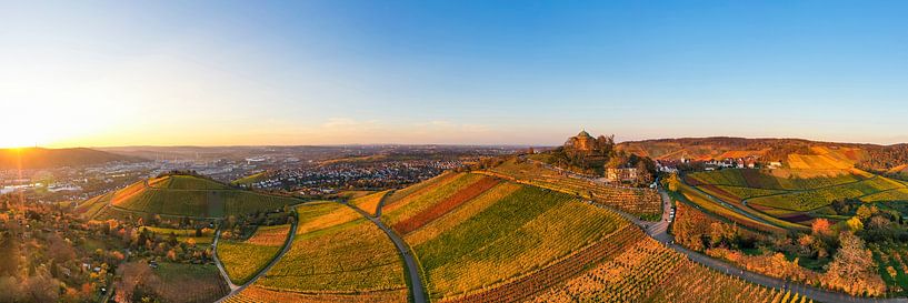 Luchtfoto wijngaarden en grafkapel in Stuttgart van Werner Dieterich