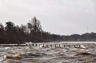 Sturm verursacht hohe Wellen auf den Reeuwijkse Plassen, Reeuwijk / Bodegraven von Robin Verhoef Miniaturansicht