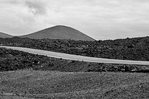 Lanzarote 13