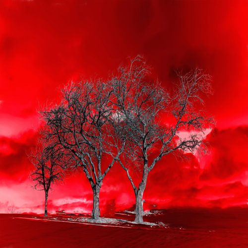 Solarisation XXII
