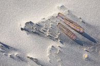 Muscheln im Flugsand von Anja Brouwer Fotografie Miniaturansicht