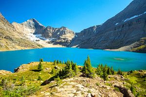 Helder turquoise water op een mooie zonnige en zomerse dag bij McArthur Lake in Yoho National Park,  van Leo Schindzielorz