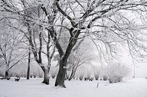 Verschneiter Winterwald bei Engenhahn im Taunus