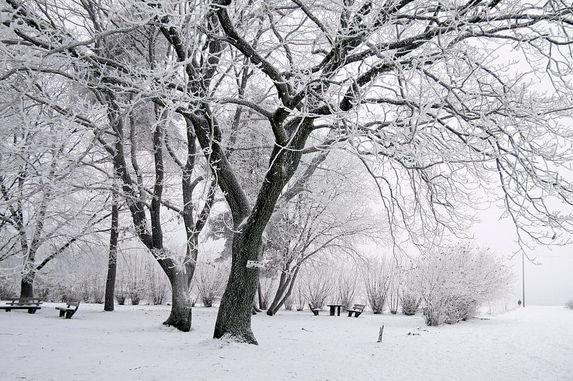 Verschneiter Winterwald bei Engenhahn im Taunus von Christian Müringer
