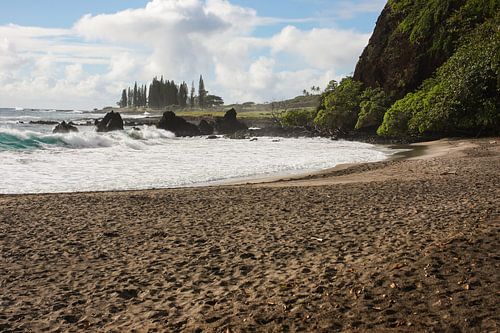Belle plage tropicale