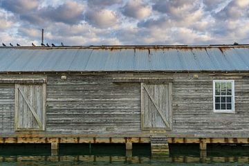 USA, Florida, Old boathouse in harbor with cloudscape and water by adventure-photos