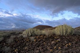 Une beauté austère – Le paysage volcanique de Ténérife