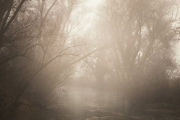 Mystieke mist bij het water