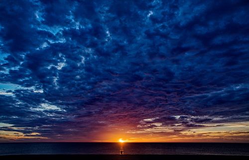 vroege visser vangt veel vis