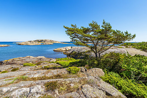 Blick von der Insel Nordkoster auf Schäreninseln nahe Strömsta