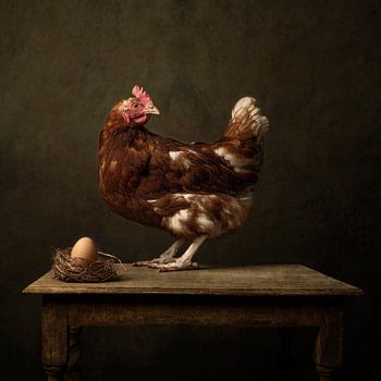 La poule et l'œuf