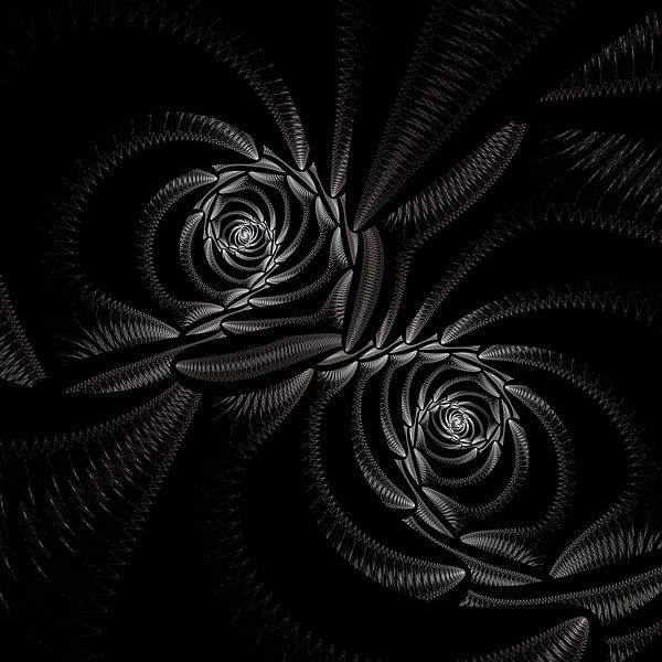 Fractal van Rosa Fotoart