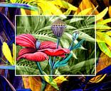 Florales (Mohn) van Gertrud Scheffler thumbnail