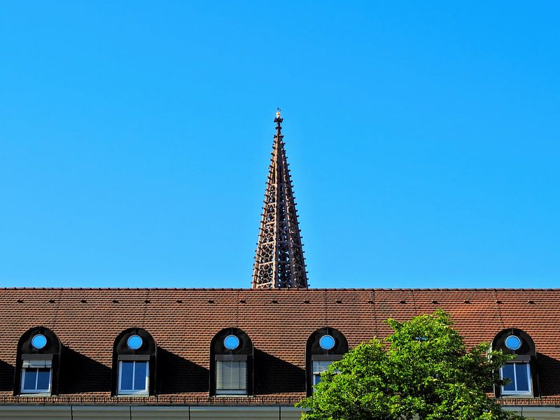 Tour de la cathédrale de Fribourg par Marc Lehmann