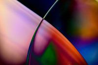 Abstract wijnglas met honingmeloen