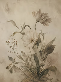 Fleur de prairie fanée sur Juan Lopez