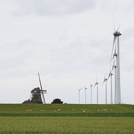 Mill Goliath on a stormy day by Zaankanteropavontuur
