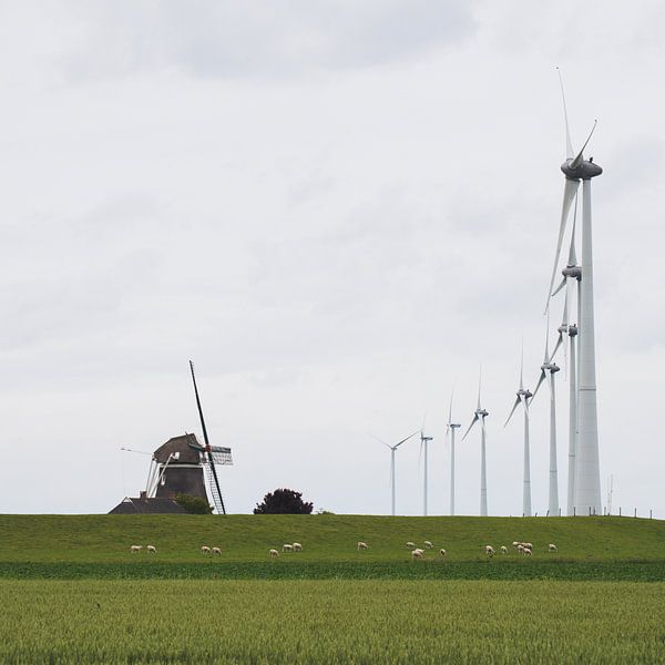 Mill Goliath on a stormy day by Zaankanteropavontuur