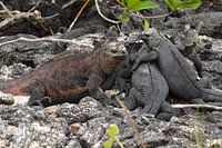 Gemeinsam gemütlich