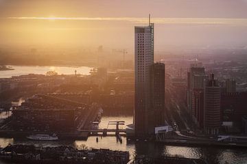 Discover the beauty of Rotterdam in one photo by Roy Poots