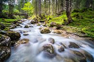 Calm flowing stream by Coen Weesjes thumbnail
