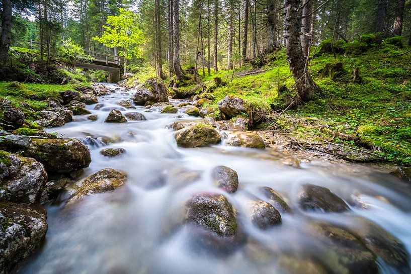 Calm flowing stream by Coen Weesjes