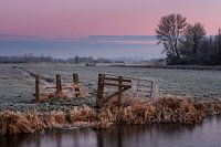 Wieland Onnerpolder met rijp