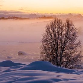 Le silence hivernal au coucher du soleil  aux Lofoten, en Norvège sur Marion Stoffels