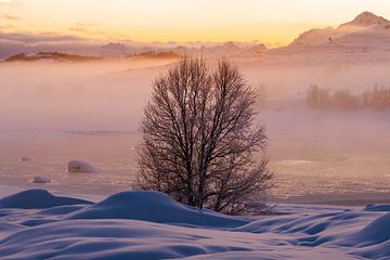 Winterliche Stille bei Sonnenuntergang  auf den Lofoten, Norwegen von Marion Stoffels