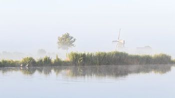 Munnikenpolder - Mühle im Nebel