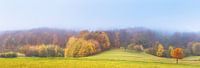 Landschaft im Herbstnebel von Tobias Luxberg Miniaturansicht