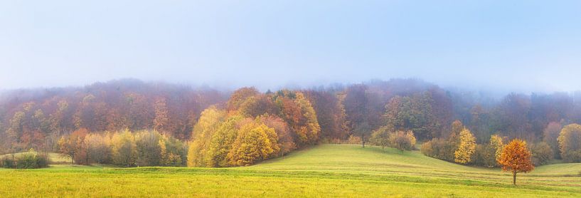 Landschaft im Herbstnebel von Tobias Luxberg