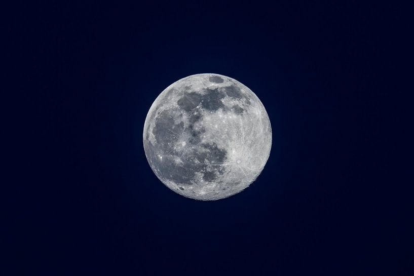 Volle maan in de donkere winternacht van Sjoerd van der Wal Fotografie