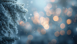 Des branches de pin illuminées par des lumières au bokeh chaleureux