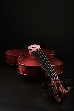 Snaarinstrument van Thomas Heitz