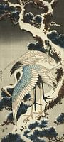 Cranes on snow-covered pine, Katsushika Hokusai 葛飾 北斎, c. 1834, The Art Institute of Chicago