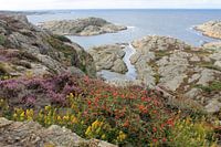 Breathtaking west coast of Sweden