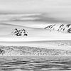 Svalbard sur Ron van der Stappen