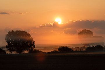 Sunrise above wet meadows, sun shining through the morning mist van wunderbare Erde