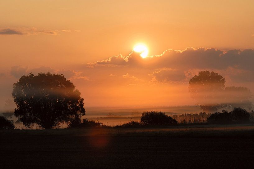 Morgenstimmung, Sonnenaufgang  über Feuchtwiesen im Nebel* par wunderbare Erde
