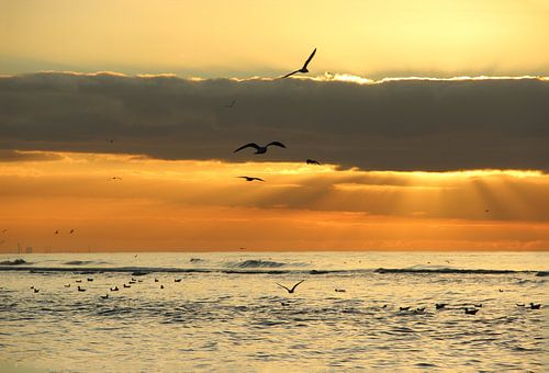 Winter-Sonnenuntergang am Meer