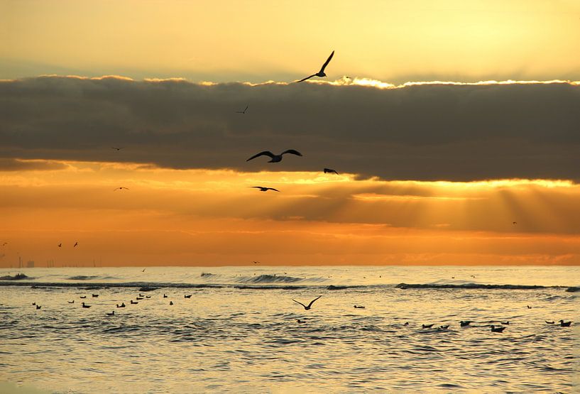 Katwijk aan Zee serie - Winterse zonsondergang aan zee van Wilma Overwijn