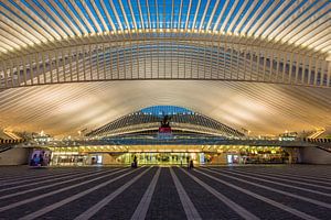 Liège Guillemins van Bert Beckers