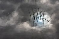 Reflectie van de wolken in het water van Marjolijn van den Berg thumbnail