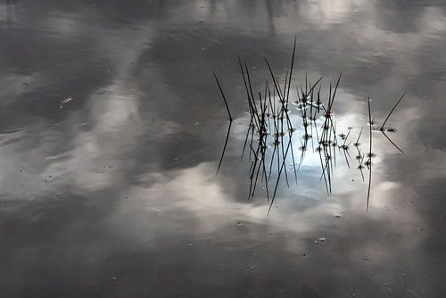 Reflectie van de wolken in het water