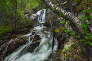 Kleiner Wasserfall im Rondane-Nationalpark in Norwegen