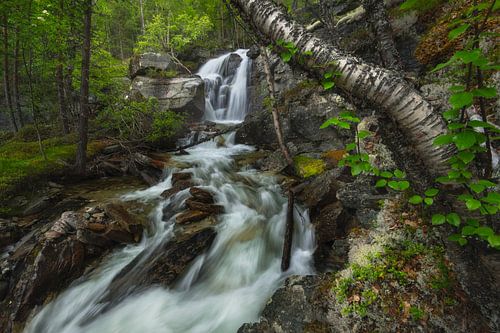 Small waterfall in Rondane National Park in Norway by Jos Pannekoek