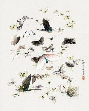 Japanese art. Butterflies and Moths by Katsushika Hokusai. Vintage painting by Dina Dankers