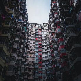 Hong Kong wereldstad van Lukas De Groodt